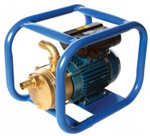 Transfer Pump 110v